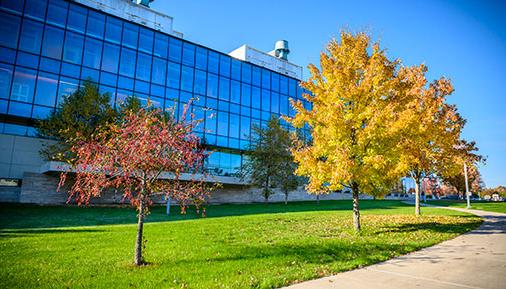 Fall view of campus